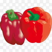 贝尔辣椒蔬菜辣椒PNG载体材料-空若网 贝尔辣椒蔬菜辣椒PNG载体材料-空若网