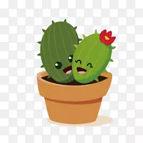 仙人掌科十字绣肉质植物-仙人掌-空若网 仙人掌科十字绣肉质植物-仙人掌-空若网