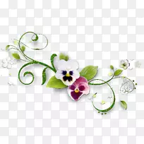 摄影博客评论-空若网 摄影博客评论-空若网