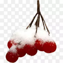 ����ɽ��ѩ����������-ѩ-������