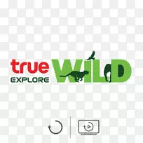 真公司???????????电视频道信托-空若网 真公司???????????电视频道信托-空若网