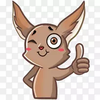 胡须猫犬科犬鼻子猫-空若网 胡须猫犬科犬鼻子猫-空若网