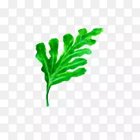 下载瓜叶-西瓜叶-空若网 下载瓜叶-西瓜叶-空若网