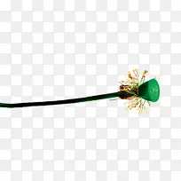 电脑壁纸餐具-淋浴-空若网 电脑壁纸餐具-淋浴-空若网