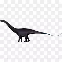 恐龙白色动物-恐龙-空若网 恐龙白色动物-恐龙-空若网