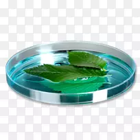 塑料细胞培养-空若网 塑料细胞培养-空若网