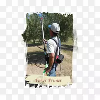 户外娱乐冒险树爱好树-空若网 户外娱乐冒险树爱好树-空若网