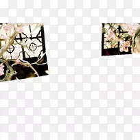 谷歌图片下载图标-经典李子窗口-空若网 谷歌图片下载图标-经典李子窗口-空若网