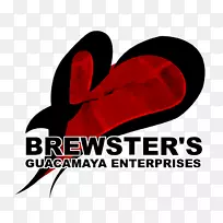 �̱�����-����-������