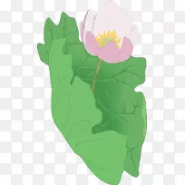 花瓣开花植物剪贴画-空若网 花瓣开花植物剪贴画-空若网