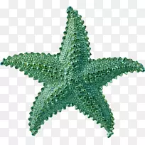 ��������ѹ����������.����-������