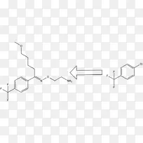 酪氨酸苯丙氨酸羟化酶必需氨基酸羟化酶-空若网 酪氨酸苯丙氨酸羟化酶必需氨基酸羟化酶-空若网