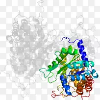 ���߼�����-��-������