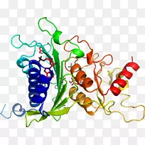蔬菜有机体系列剪贴画-蔬菜-空若网 蔬菜有机体系列剪贴画-蔬菜-空若网