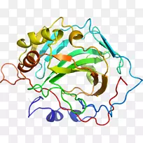 线点生物剪贴画线-空若网 线点生物剪贴画线-空若网
