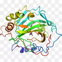 线点生物剪贴画线-空若网 线点生物剪贴画线-空若网