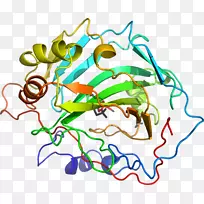 直线点叶剪贴画线-空若网 直线点叶剪贴画线-空若网