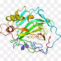 叶线点剪贴画-叶-空若网 叶线点剪贴画-叶-空若网