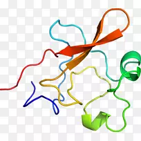 �ߵ������-��-������