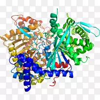 食身珠宝树线剪贴画-树-空若网 食身珠宝树线剪贴画-树-空若网