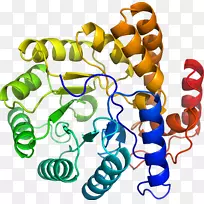 �����߶����������-������