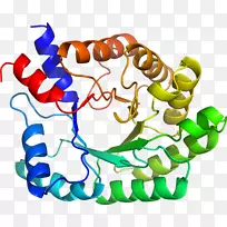 �����߶����������-������