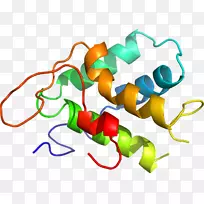 蔬菜有机体系列剪贴画-蔬菜-空若网 蔬菜有机体系列剪贴画-蔬菜-空若网