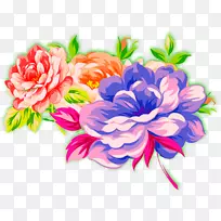 花瓣-牡丹花-空若网 花瓣-牡丹花-空若网