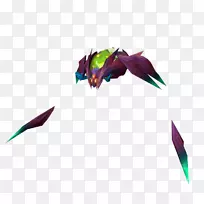 羽毛喙-羽毛-空若网 羽毛喙-羽毛-空若网