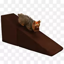 Լ�˿���Ȯ���������ɿ�����ɫ-������