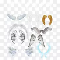 ����-���װ��-������