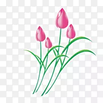 郁金香下载花夹艺术-郁金香-空若网 郁金香下载花夹艺术-郁金香-空若网