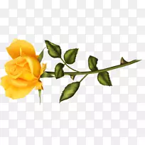 �ռ�����LiveInternet chomikuj.pl����-��-������