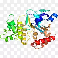 生物线动物剪贴画线-空若网 生物线动物剪贴画线-空若网