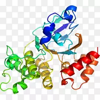 �����߶����������-������