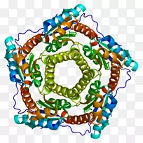 ���������鱦�л����߼�������-������