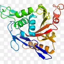 线点有机体-线-空若网 线点有机体-线-空若网