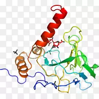 线点生物剪贴画线-空若网 线点生物剪贴画线-空若网