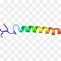 ��־�������-������