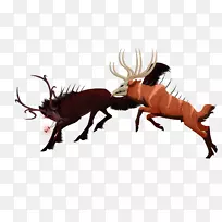 驯鹿昆虫野生动物驯鹿-空若网 驯鹿昆虫野生动物驯鹿-空若网