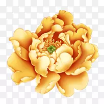 牡丹剪贴画-牡丹图案-空若网 牡丹剪贴画-牡丹图案-空若网