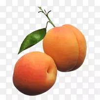 ����ֲ���͹�-������