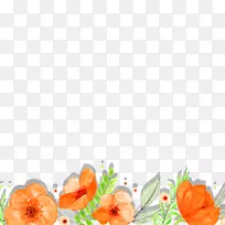 橙色绿色-橙色花卉材料-空若网 橙色绿色-橙色花卉材料-空若网