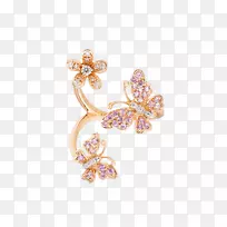 耳环体珠宝胸针蝴蝶环-空若网 耳环体珠宝胸针蝴蝶环-空若网