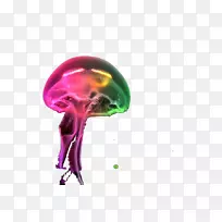 水母免费彩色水母-空若网 水母免费彩色水母-空若网