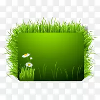 草gis插图草-空若网 草gis插图草-空若网