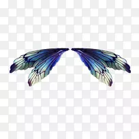 仙画剪贴画-创意可爱羽毛,翅膀-空若网 仙画剪贴画-创意可爱羽毛,翅膀-空若网