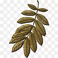 ֦����-������