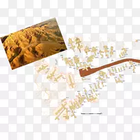 �ʺ����Ӱ-���-������