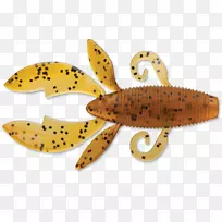 昆虫鱼-昆虫-空若网 昆虫鱼-昆虫-空若网